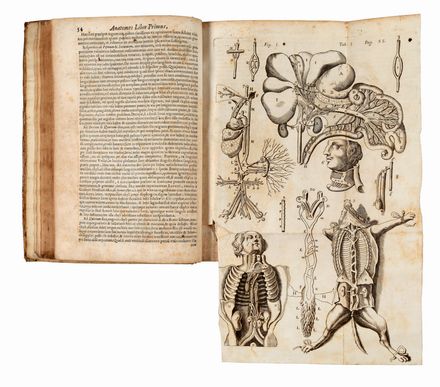  Dimerbroeck Ijsbrand (van) : Anatome Corporis Humani... Medicina, Anatomia, Medicina  - Auction Books & Graphics - Libreria Antiquaria Gonnelli - Casa d'Aste - Gonnelli Casa d'Aste