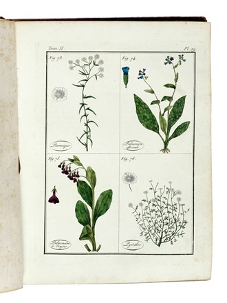  Roques Joseph : Plantes usuelles, indignes et exotiques. Tome premier (-seconde).  - Asta Libri a stampa dal XV al XIX secolo [Parte II] - Libreria Antiquaria Gonnelli - Casa d'Aste - Gonnelli Casa d'Aste