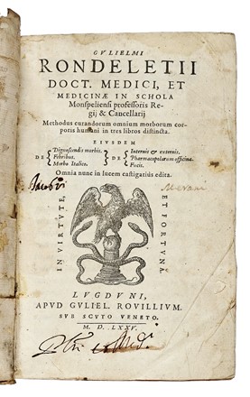 Lotto composto di 3 opere di medicina del XVI secolo.  Giovanni Rondelet, Alexandre De Tralles, Petrus Gorraeus  - Asta Libri a stampa dal XVI al XX secolo [ASTA A TEMPO - PARTE II] - Libreria Antiquaria Gonnelli - Casa d'Aste - Gonnelli Casa d'Aste