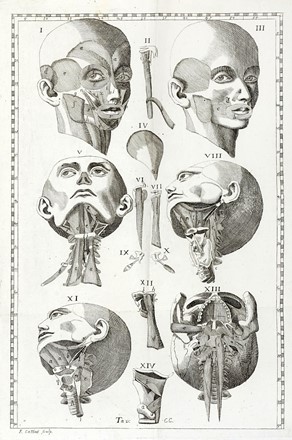  Winslow Jacques Bnigne : Esposizione anatomica della struttura del corpo umano [...] Tomo primo (-secondo).  - Asta Libri a stampa dal XV al XIX secolo [Parte II] - Libreria Antiquaria Gonnelli - Casa d'Aste - Gonnelli Casa d'Aste