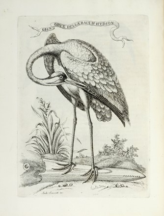  Terreni Antonio : Il Gazzettiere americano contenente un distinto ragguaglio di tutte le parti del Nuovo Mondo [...]. Tradotto dall'inglese e arricchito di aggiunte, note, carte, e rami. Volume primo (-terzo).  - Asta Libri a stampa dal XV al XIX secolo [Parte II] - Libreria Antiquaria Gonnelli - Casa d'Aste - Gonnelli Casa d'Aste