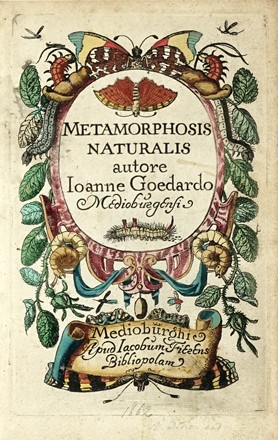  Goedart Johannes : Metamorphosis et historia naturalis insectorum.  - Asta Libri, autografi e manoscritti - Libreria Antiquaria Gonnelli - Casa d'Aste - Gonnelli Casa d'Aste