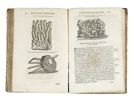  Imperato Ferrante : Historia naturale [...] Nella quale ordinatamente si tratta della diversa condition di minere, pietre pretiose, & altre curiosit. Con varie historie di piante, & animali...  - Asta Libri, autografi e manoscritti - Libreria Antiquaria Gonnelli - Casa d'Aste - Gonnelli Casa d'Aste