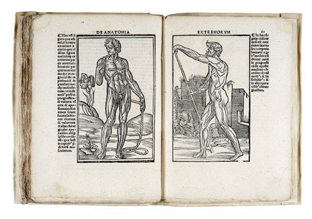  Berengario Jacopo : Anatomia Carpi. Isagoge breves perlucide ac uberime, in anatomiam  [..]