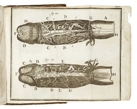  Heister Lorenz : Compendium anatomicum [...]. Editio quinta veneta...  - Asta Libri, autografi e manoscritti - Libreria Antiquaria Gonnelli - Casa d'Aste - Gonnelli Casa d'Aste