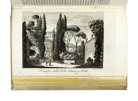  Sebastiani Filippo Alessandro : Viaggio a Tivoli antichissima citt latino-sabina fatto nel 1825.  - Asta Libri, autografi e manoscritti - Libreria Antiquaria Gonnelli - Casa d'Aste - Gonnelli Casa d'Aste