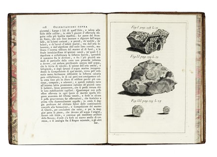  Fortis Alberto : Saggio d'osservazioni sopra l'isola di Cherso ed Osero...  Domenico Cirillo  (1739 - 1799)  - Asta Libri, autografi e manoscritti - Libreria Antiquaria Gonnelli - Casa d'Aste - Gonnelli Casa d'Aste