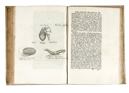  Vallisneri Antonio : Nuove osservazioni, ed esperienze intorno all'Ovaia scoperta ne' Vermi tondi dell'Uomo, e de' Vitelli, con varie Lettere spettanti alla storia medica e naturale...  - Asta Libri, autografi e manoscritti - Libreria Antiquaria Gonnelli - Casa d'Aste - Gonnelli Casa d'Aste