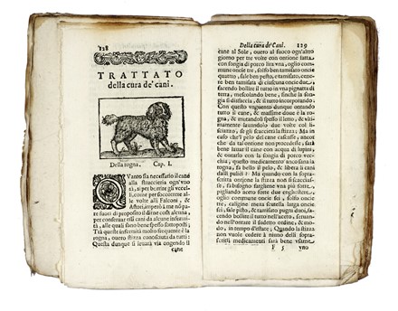  Giorgi Federico : Libro [...] del modo di conoscere i buoni Falconi, Astori, e Sparavieri...  Francesco Carcano, Cesare Manzini  - Asta Libri, autografi e manoscritti - Libreria Antiquaria Gonnelli - Casa d'Aste - Gonnelli Casa d'Aste