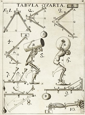  Borelli Giovanni Alfonso : De motu animalium [...] Opus posthumum. Pars prima [-altera].  [..]