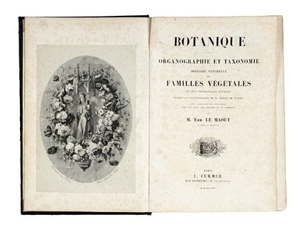  Le Maout Emmanuel : Les trois rgnes de la Nature. Botanique. Organographie et taxonomie. Histoire naturelle des familles vgtales...  - Asta Libri, autografi e manoscritti - Libreria Antiquaria Gonnelli - Casa d'Aste - Gonnelli Casa d'Aste