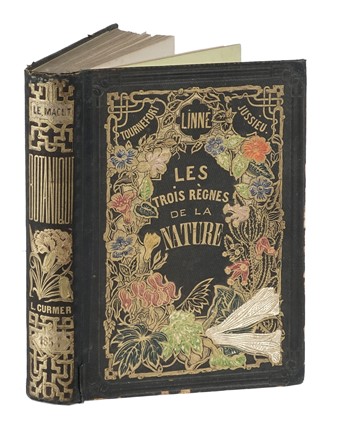  Le Maout Emmanuel : Les trois rgnes de la Nature. Botanique. Organographie et taxonomie. Histoire naturelle des familles vgtales...  - Asta Libri, autografi e manoscritti - Libreria Antiquaria Gonnelli - Casa d'Aste - Gonnelli Casa d'Aste