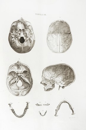  Leopoldo Marco Antonio Caldani  (Bologna, 1725 - Padova, 1813), Floriano Caldani  [..]