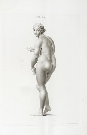  Leopoldo Marco Antonio Caldani  (Bologna, 1725 - Padova, 1813), Floriano Caldani  [..]