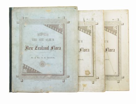  Featon Edward Henry : The art album of New Zealand flora...  - Asta Manoscritti, Incunaboli, Autografi e Libri a stampa - Libreria Antiquaria Gonnelli - Casa d'Aste - Gonnelli Casa d'Aste