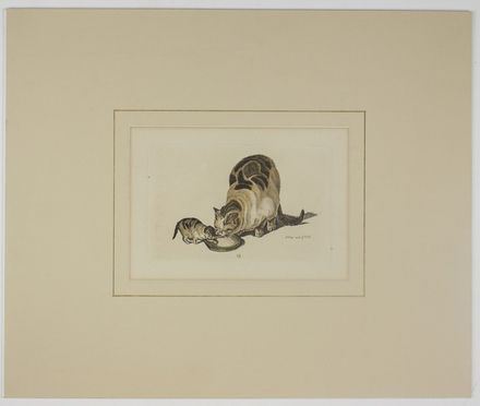  Gottfried Mind  (Svizzera, 1768 - 1814), Franz Hegi  (Svizzera, 1774 - 1850) : Scene con gatti.  - Auction Timed Auction: Prints & drawings - Libreria Antiquaria Gonnelli - Casa d'Aste - Gonnelli Casa d'Aste
