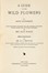  Lounsberry Alice : A guide to the wild flowers.  Ellis Rowan  - Asta Libri a stampa dal XVI al XX secolo [ASTA A TEMPO - PARTE II] - Libreria Antiquaria Gonnelli - Casa d'Aste - Gonnelli Casa d'Aste
