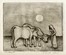  Cino Bozzetti  (Lecce, 1876 - 1949, ) : Lotto composto di 3 incisioni a tema campestre.  - Auction Modern and Contemporary Art [II Part ] - Libreria Antiquaria Gonnelli - Casa d'Aste - Gonnelli Casa d'Aste