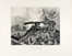  Francesco Chiappelli  (Pistoia, 1890 - Firenze, 1947) : Lotto composto di 2 incisioni dalla serie delle Medaglie d'oro al valor militare.  - Auction Modern and Contemporary Art [II Part ] - Libreria Antiquaria Gonnelli - Casa d'Aste - Gonnelli Casa d'Aste