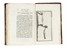  Leonardo da Vinci : Trattato della pittura.  - Asta Libri, autografi e manoscritti - Libreria Antiquaria Gonnelli - Casa d'Aste - Gonnelli Casa d'Aste