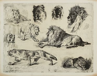  Cesare Biseo  (Roma, 1843 - 1909) : Studi di leoni.  - Asta Libri & Grafica - Libreria Antiquaria Gonnelli - Casa d'Aste - Gonnelli Casa d'Aste