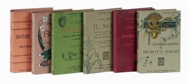 Lotto di 6 manuali Hoepli di agricoltura, in legatura editoriale originale.  Noel Aducci, Angiolo Pucci, Eugenio Azimonti, Riccardo Debarbieri, Cesare Manicardi, Vittorio Niccoli  - Asta Libri a stampa dal XVI al XX secolo [ASTA A TEMPO - PARTE II] - Libreria Antiquaria Gonnelli - Casa d'Aste - Gonnelli Casa d'Aste