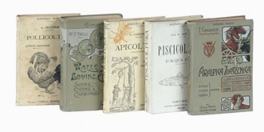 Lotto di 9 manuali Hoepli di zootecnia in legatura editoriale originale.  Giovanni Canestrini  - Asta Libri a stampa dal XVI al XX secolo [ASTA A TEMPO - PARTE II] - Libreria Antiquaria Gonnelli - Casa d'Aste - Gonnelli Casa d'Aste