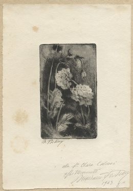  Mariano Fortuny y Madrazo  (Granada, 1871 - Venezia, 1949) : Peonias.  - Asta Stampe e Disegni - Libreria Antiquaria Gonnelli - Casa d'Aste - Gonnelli Casa d'Aste